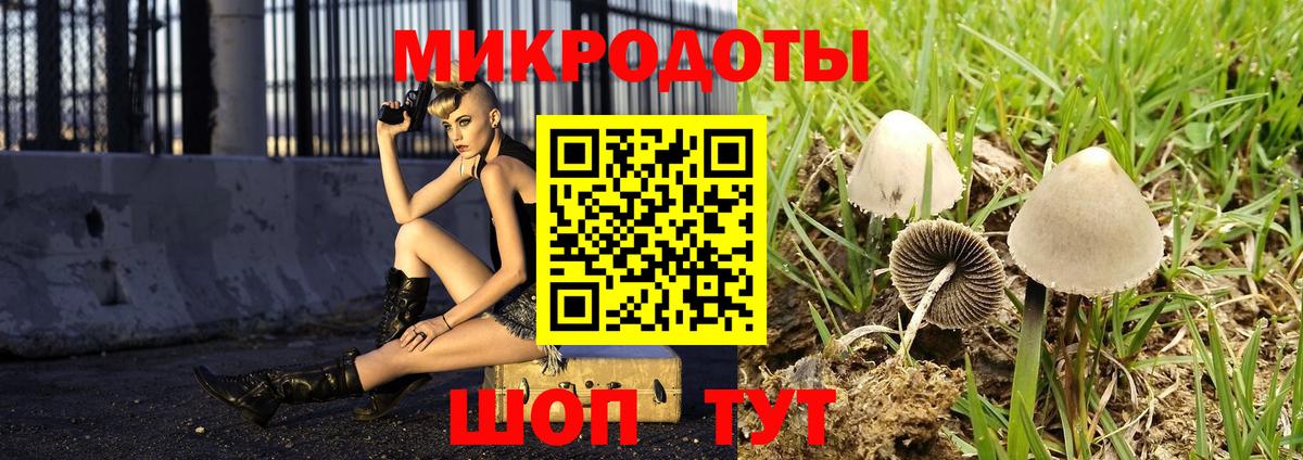 Галлюциногенные грибы GOLDEN TEACHER Светлоград