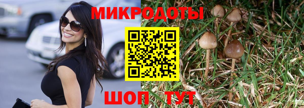 закладки  Псилоцибиновые грибы мицелий  Вход с VPN  Светлоград 